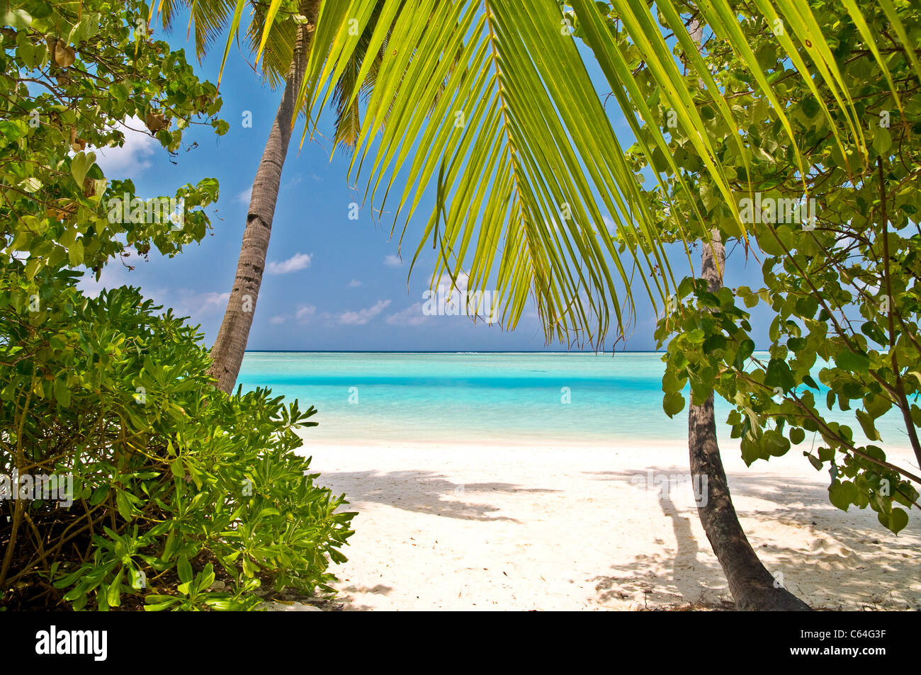 spiaggia tropicale Foto Stock