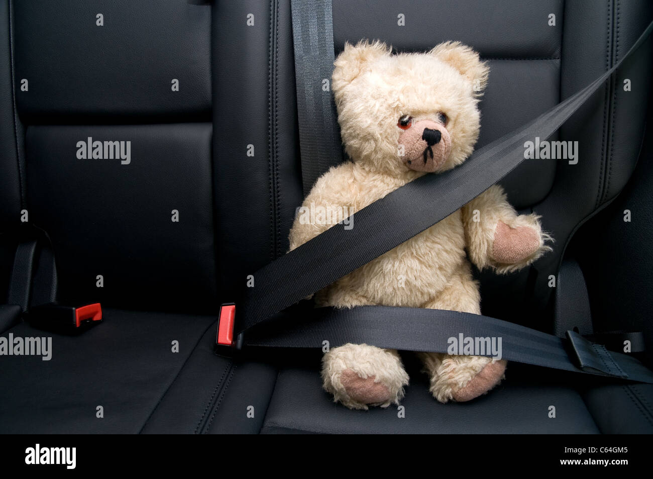 Orsacchiotto di peluche allacciata con cintura di sicurezza in auto Foto  stock - Alamy