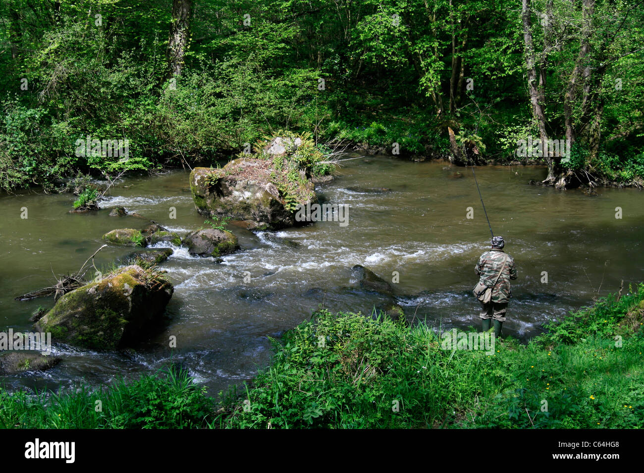 Trout fisherman, fiume 'La Colmont' (Sentiero di Moulins, 'Le Saut du Renard', Brecé, dipartimento Mayenne, Francia, Europa). Foto Stock
