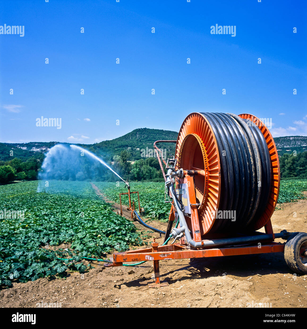 Automatizzato di acqua per irrigazione sprinkler un campo di patate, il tubo flessibile di caricamento, rack Lubéron, Vaucluse Provence, Francia,l'Europa Foto Stock
