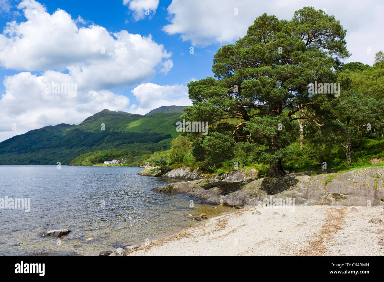 La sponda orientale del Loch Lomond a Rowardennan, Scotland, Regno Unito Foto Stock