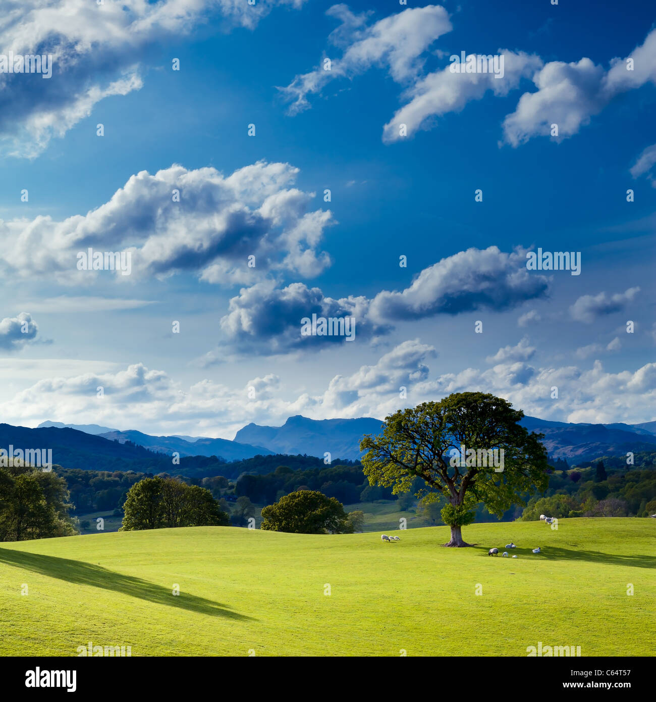 Idillico paese di scena, Wray, vicino a Ambleside, Lake District, Cumbria, Regno Unito. Foto Stock