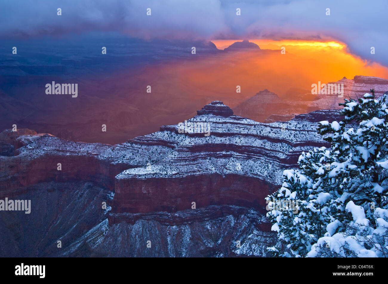 Una splendida alba a Yaki Point durante una tempesta di neve di marzo al margine sud del Grand Canyon National Park. Foto Stock