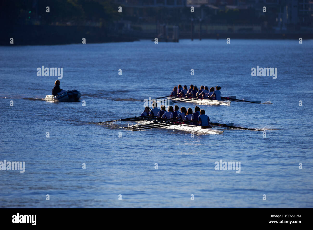 Il canottaggio 8's sul Fiume Brisbane Queensland Australia Foto Stock