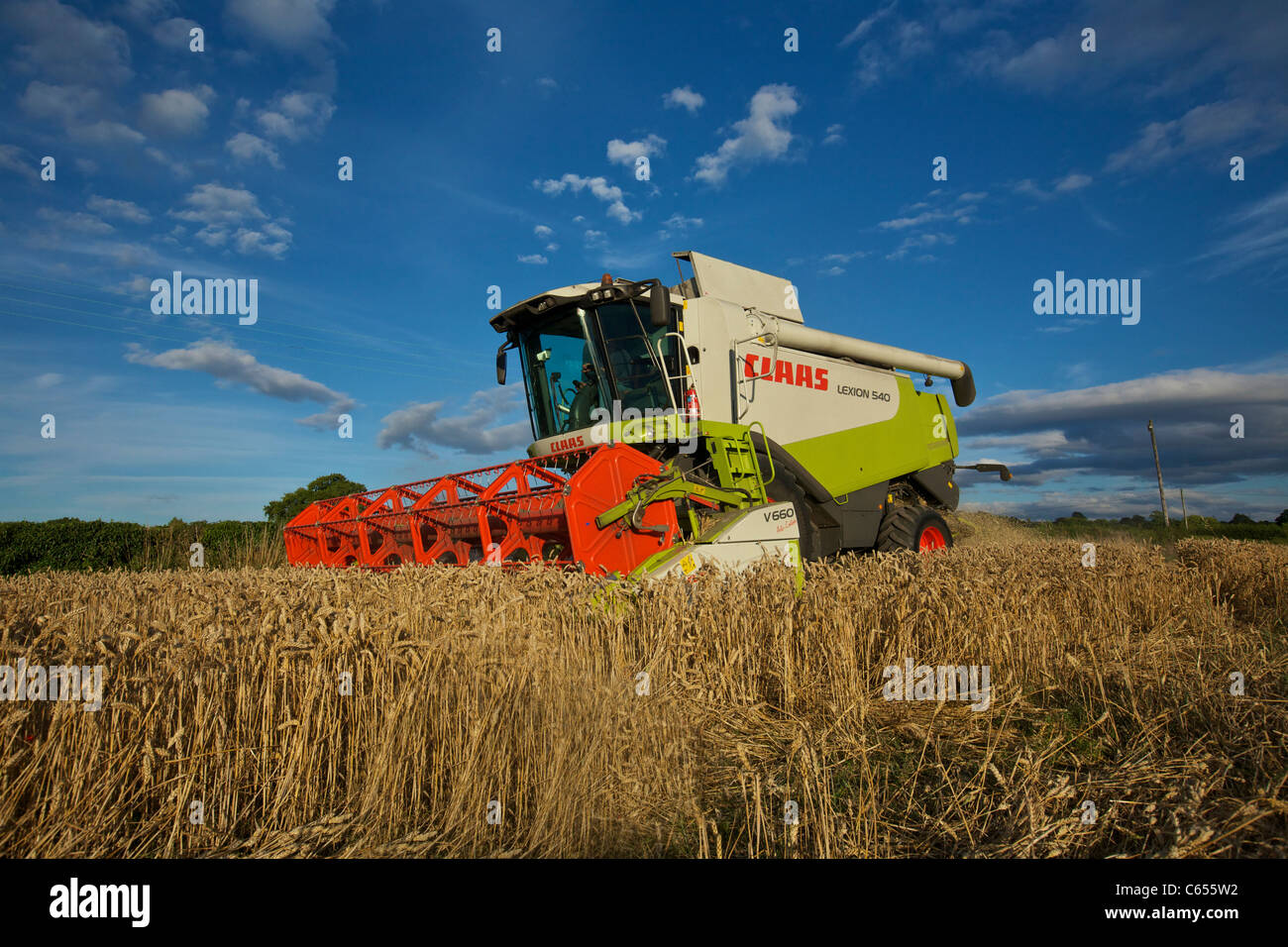 Claas Lexion 540 Mietitrebbia REGNO UNITO Foto Stock