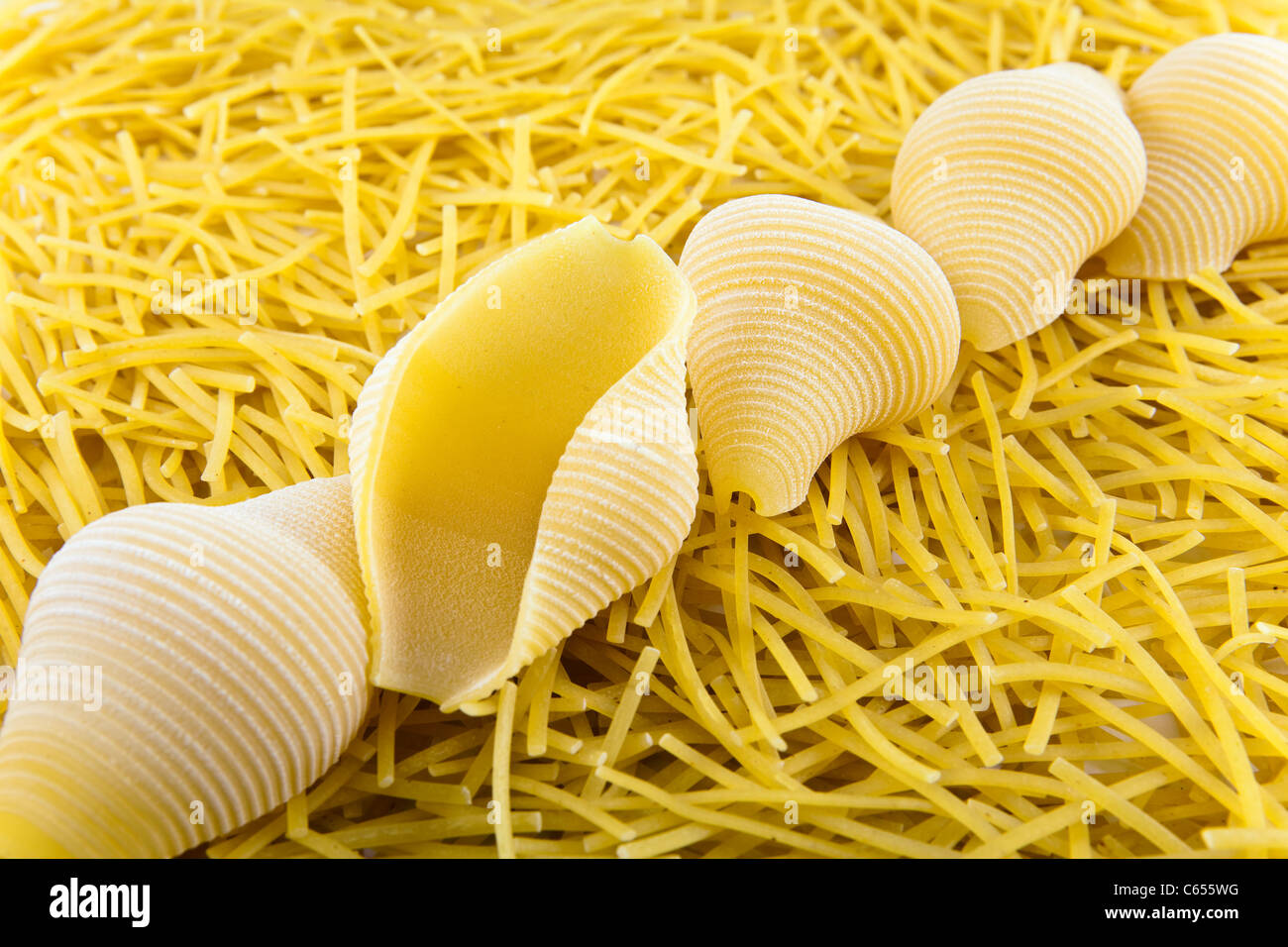 'Shell' la pasta e i vermicelli come sfondo Foto Stock