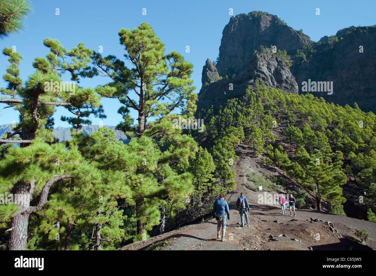 Escursionista presso il monte La Cumbrecita a parco nazionale de la Caldera de Taburiente, La Palma, Spagna, Canarie, europa oceano Atlantico Foto Stock