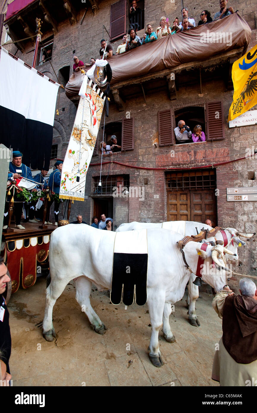 Palio di Siena 2011, 2 luglio. Corsa di cavalli in Piazza del Campo, il Palio di Siena. Solo uso editoriale. Foto Stock