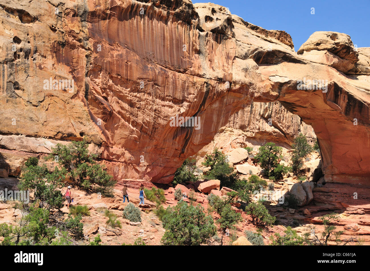 Approccio per gli escursionisti Hickman ponte nel Parco nazionale di Capitol Reef Foto Stock