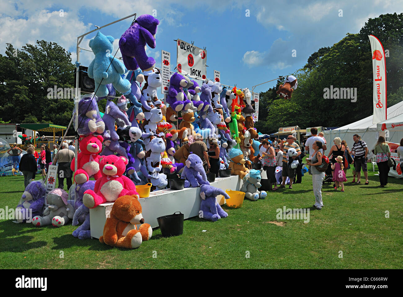 Black Jack in stallo Foto Stock