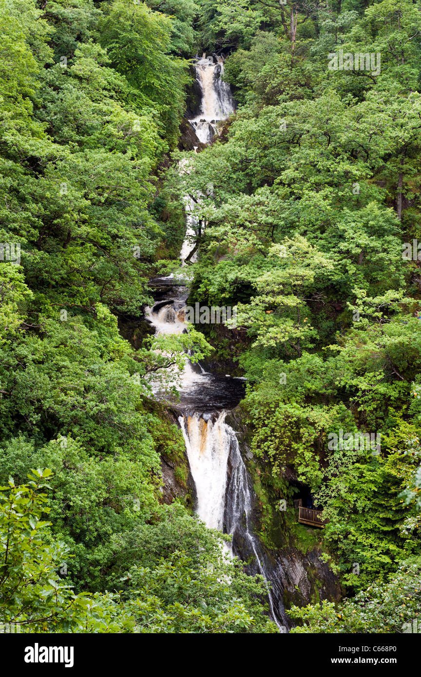 A Cascata Ponte di diavoli attrazione turistica del Galles occidentale - ispirazione per Wordsworth "per il torrente presso il Ponte del Diavolo" Foto Stock