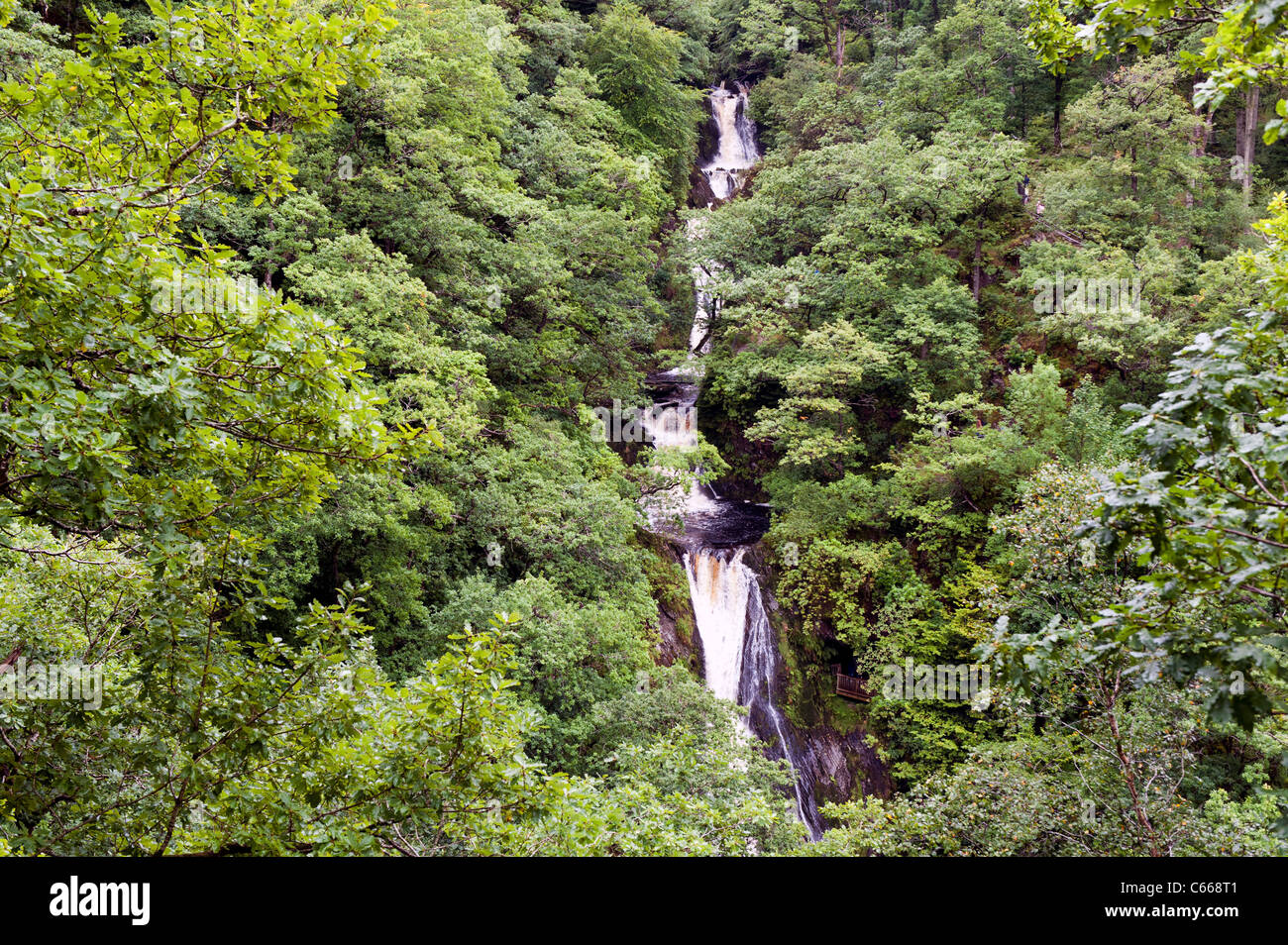 A Cascata Ponte di diavoli attrazione turistica del Galles occidentale - ispirazione per Wordsworth "per il torrente presso il Ponte del Diavolo" Foto Stock