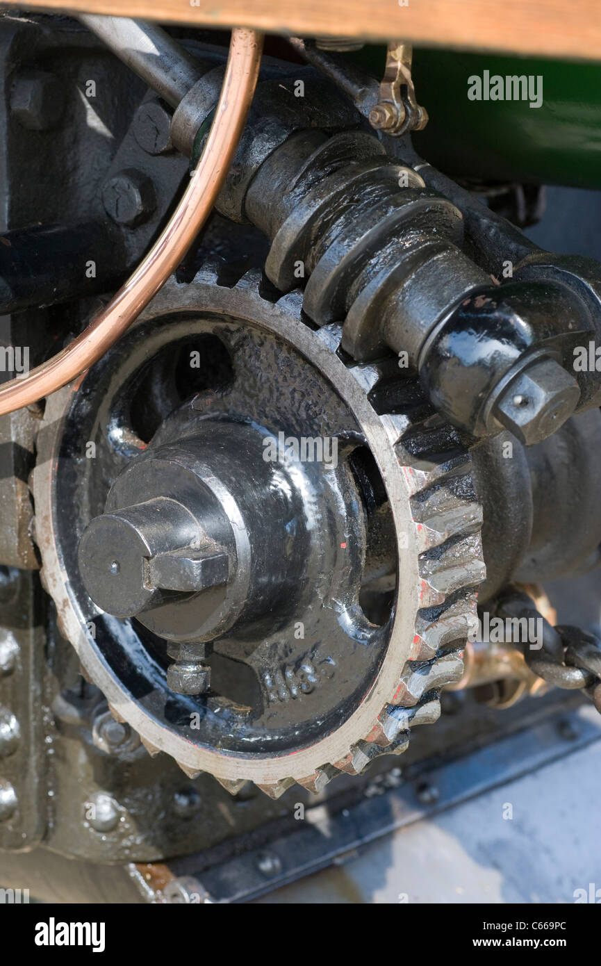 Vite senza fine e ruota dentata ingranaggi Foto Stock