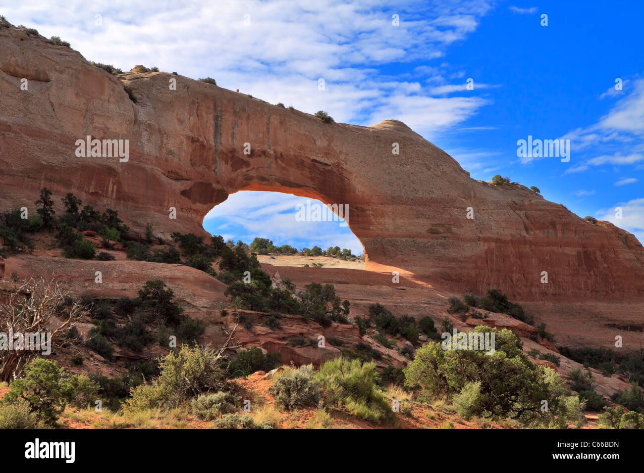 Wilson Arch, Utah. Arco di pietra arenaria fuori la Highway 191 a sud di Moab Foto Stock