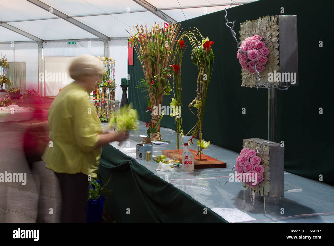 Figure sfocate  Flower Arrangers al ventottesimo Southport Flower Show Showground Victoria Park, Southport, 2011 Merseyside, Regno Unito Foto Stock