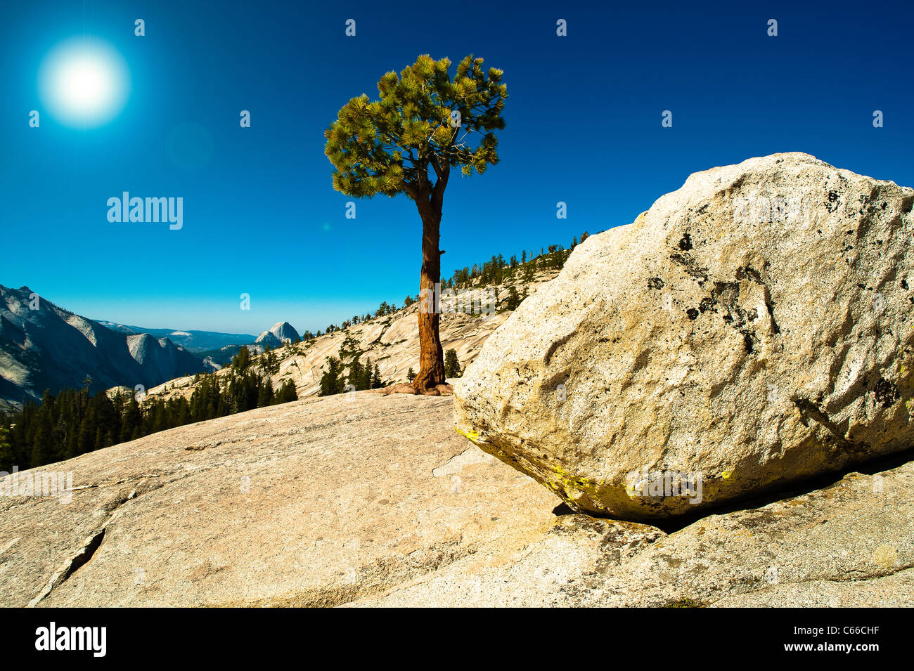 Parco Nazionale di Yosemite yoh-sem-it-ee) è un parco nazionale degli Stati Uniti orientali spanning porzioni di Tuolumne. Foto Stock