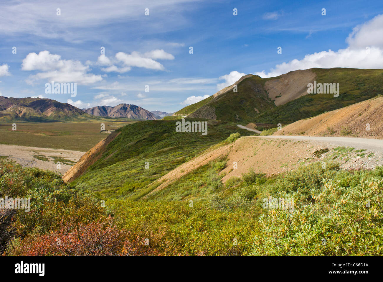 Parco Nazionale di Denali in Alaska, uno di America del Nord la più grande deserto conserva. Foto Stock