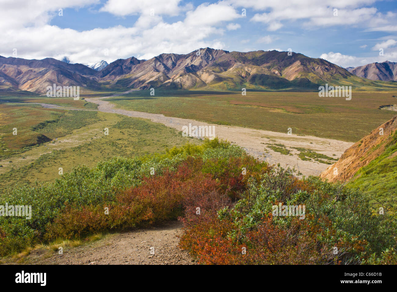 Parco Nazionale di Denali in Alaska, uno di America del Nord la più grande deserto conserva. Foto Stock