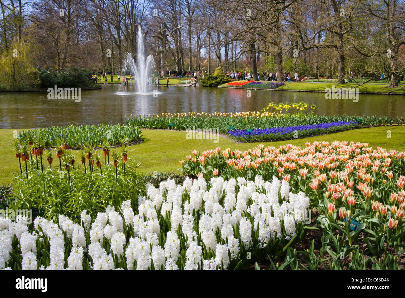 La scena del giardino con laghetto e fontana a giardini Keukenhof nei Paesi Bassi. Foto Stock