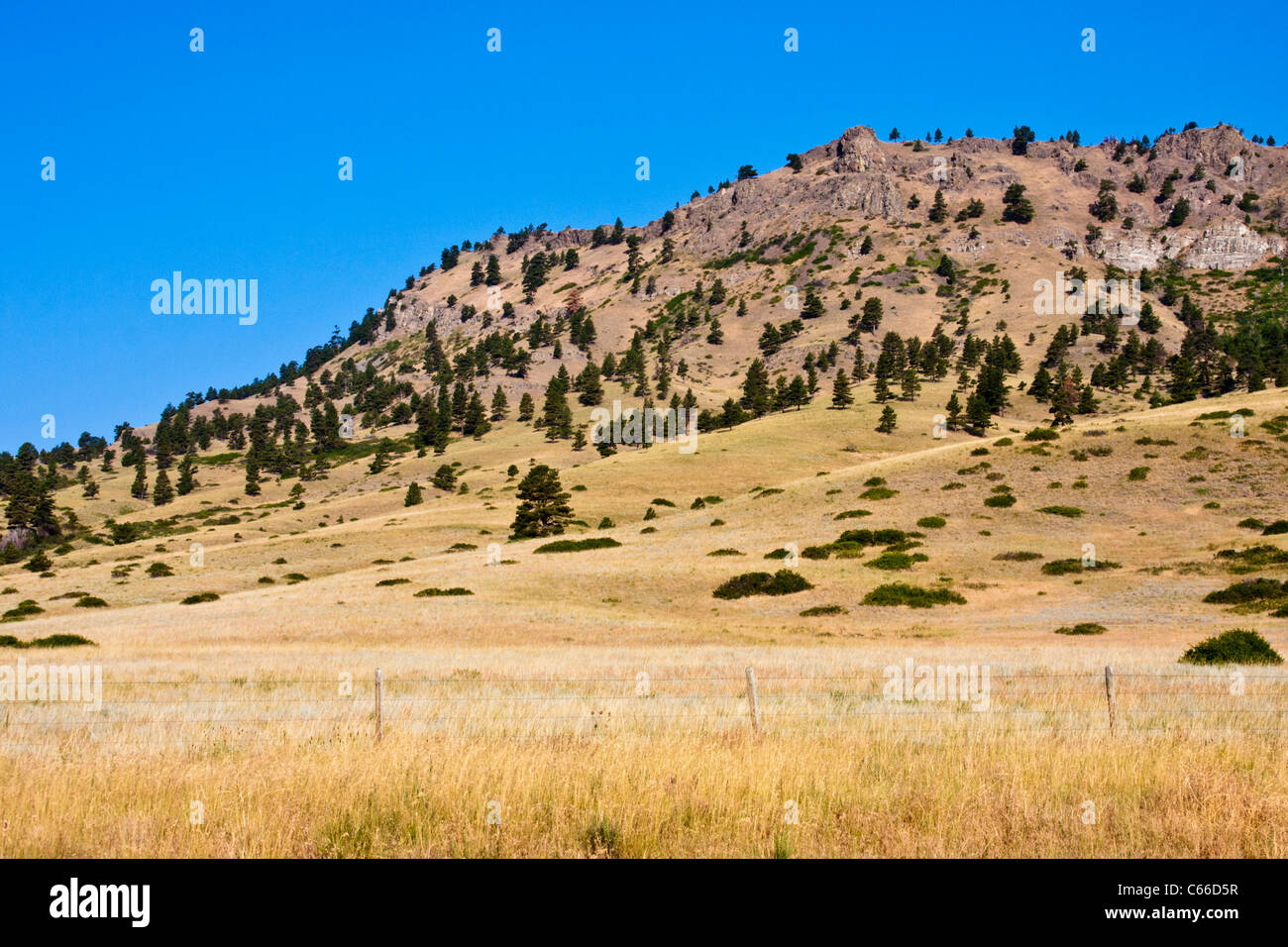 Praterie e aspre buttes lungo la strada panoramica US 287 in Montana tra Butte e Glacier National Park. Foto Stock