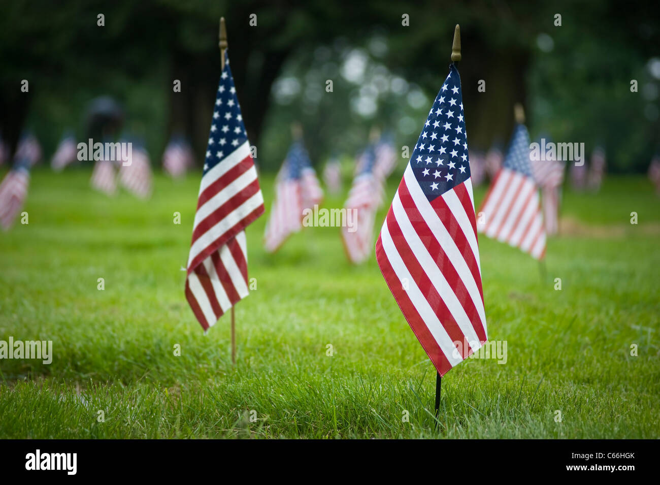 Bandierine americane nel cimitero dei veterani del Memorial Day, Pennsylvania, STATI UNITI D'AMERICA Foto Stock