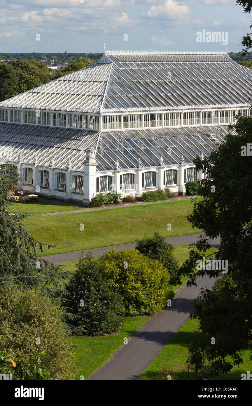 Londra, Kew Gardens Royal Horticultural Society - la casa temperate, il più grande di ferro in stile vittoriano e struttura in vetro in Europa Foto Stock