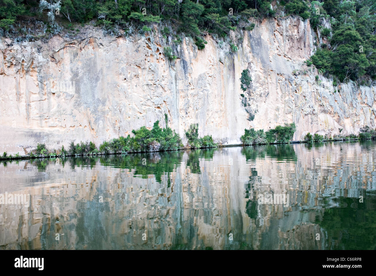 Le Bianche scogliere di lava vulcanica Ignimbrite Rock sul lago Arapuni vicino Maungatautari Hamilton Waikato Isola del nord della Nuova Zelanda Foto Stock