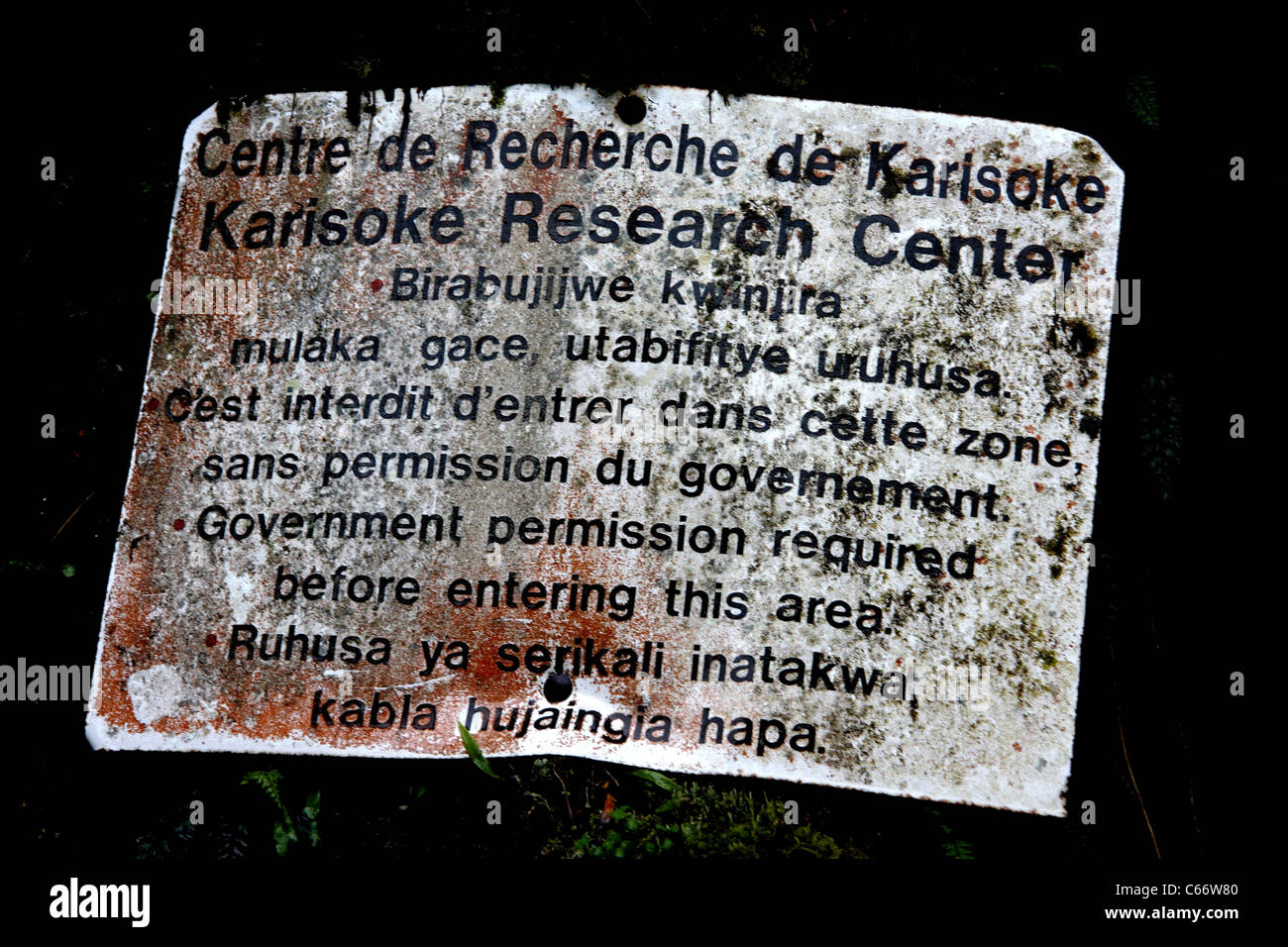 Karisoke Research Center (Centre de Recherche de Karisoke) firmare Foto Stock