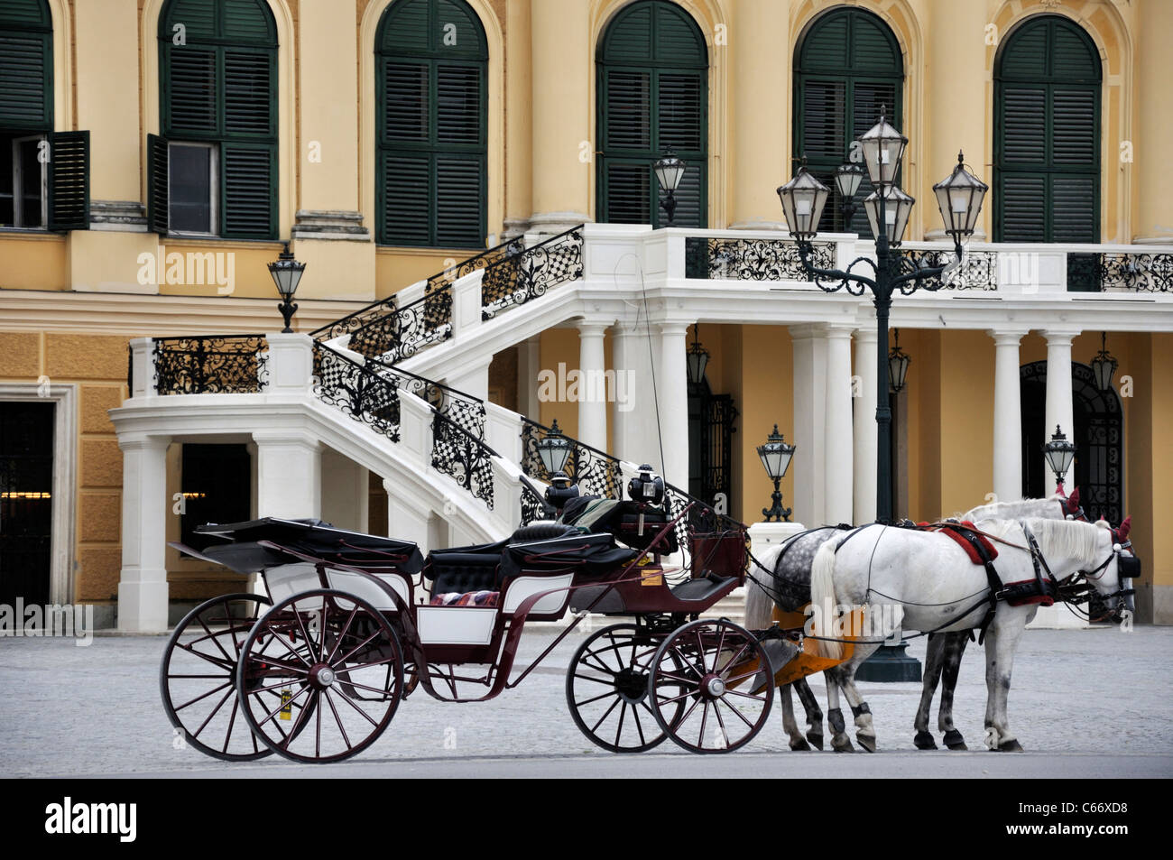 Cavallo e Carrozza di fronte palazzo Schoenbrunn, Vienna, Austria, Europa Foto Stock