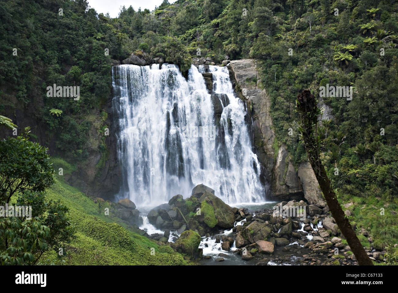 La bellissima Marokopa cade nella foresta Tawarau vicino a te Anga Waitomo Waikato Isola del nord della Nuova Zelanda NZ Foto Stock