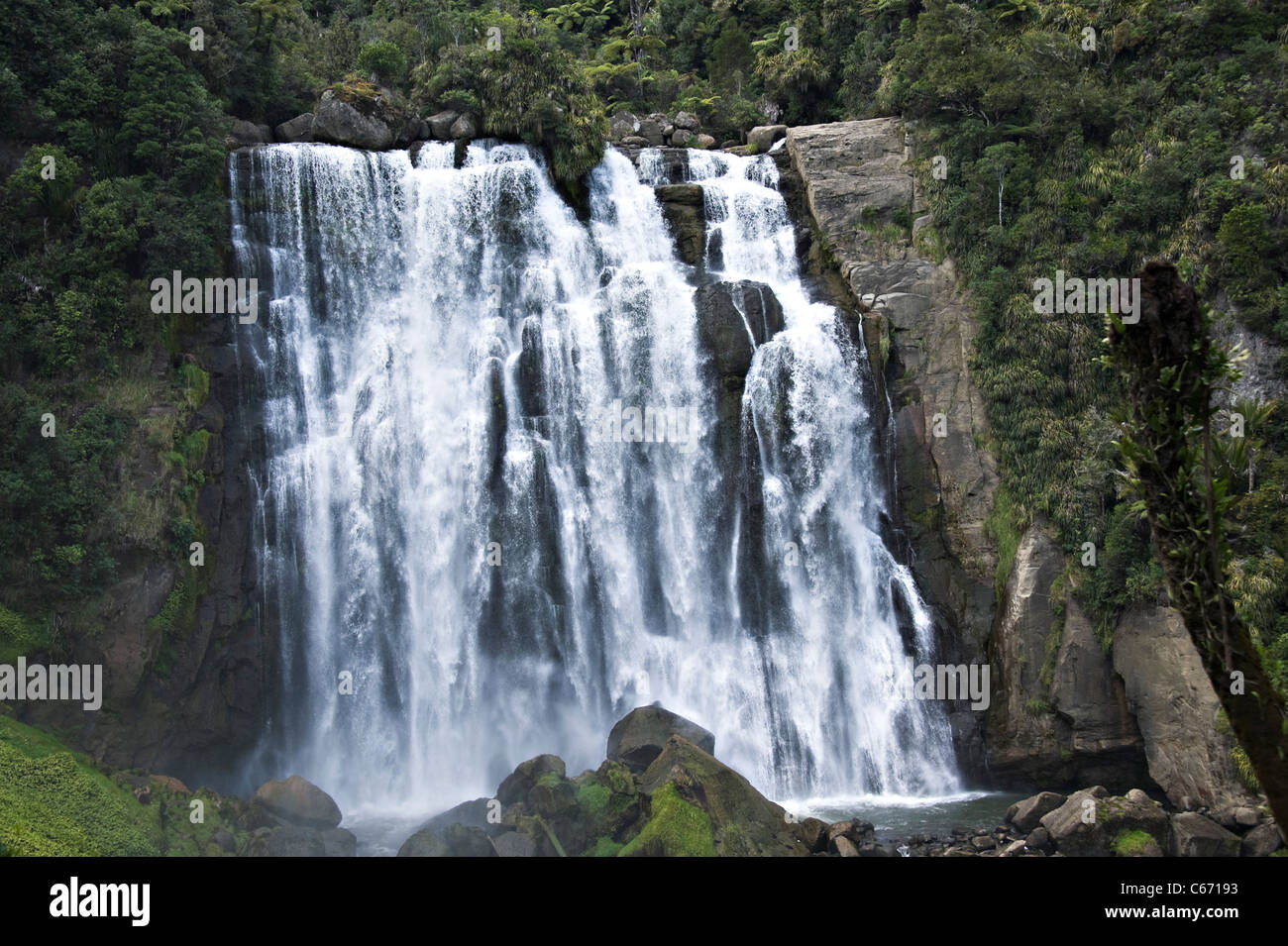 La bellissima Marokopa cade nella foresta Tawarau vicino a te Anga Waitomo Waikato Isola del nord della Nuova Zelanda NZ Foto Stock