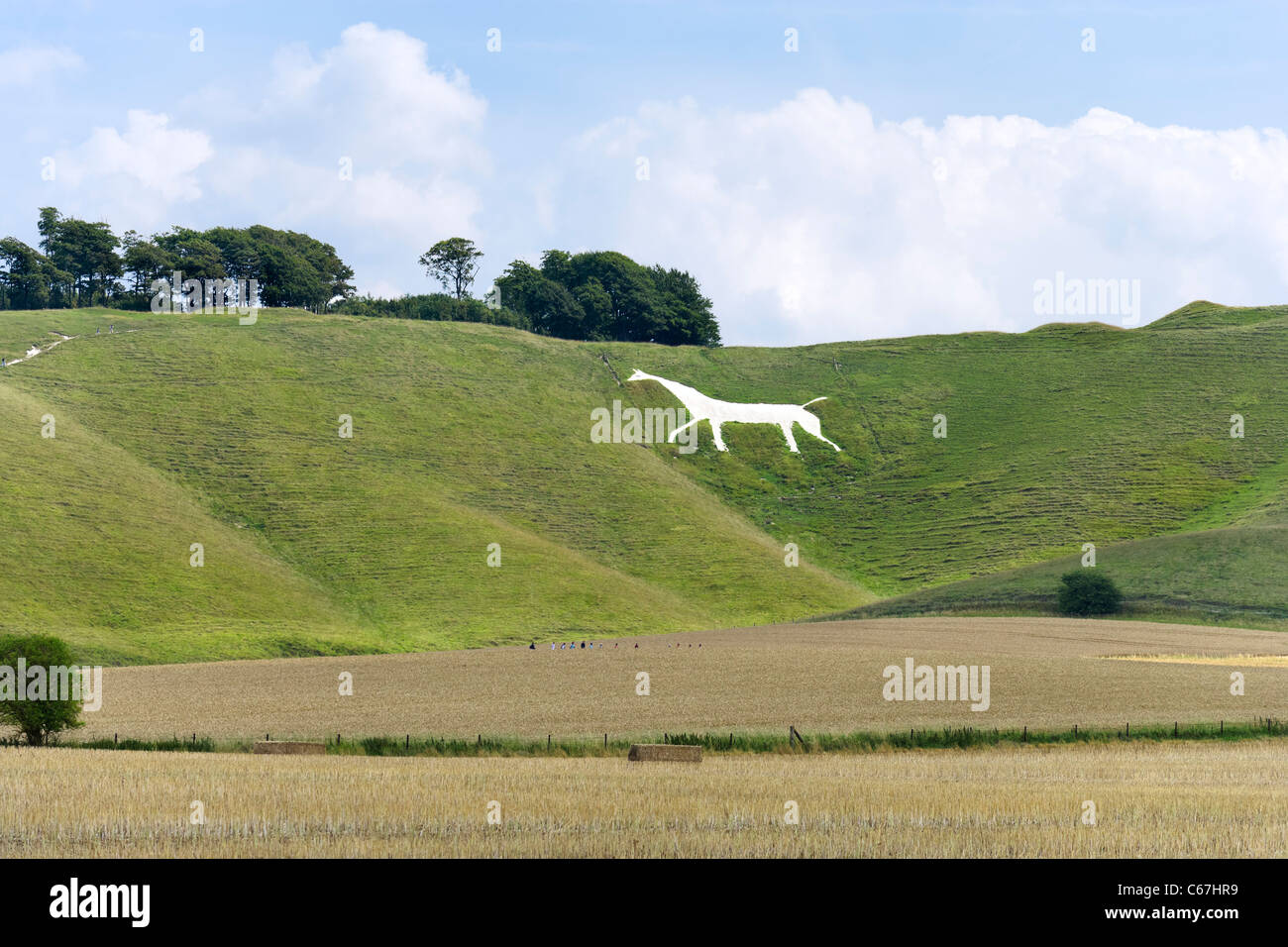 Il Cherhill White Horse, Cherhill giù, Wiltshire, Inghilterra, Regno Unito Foto Stock