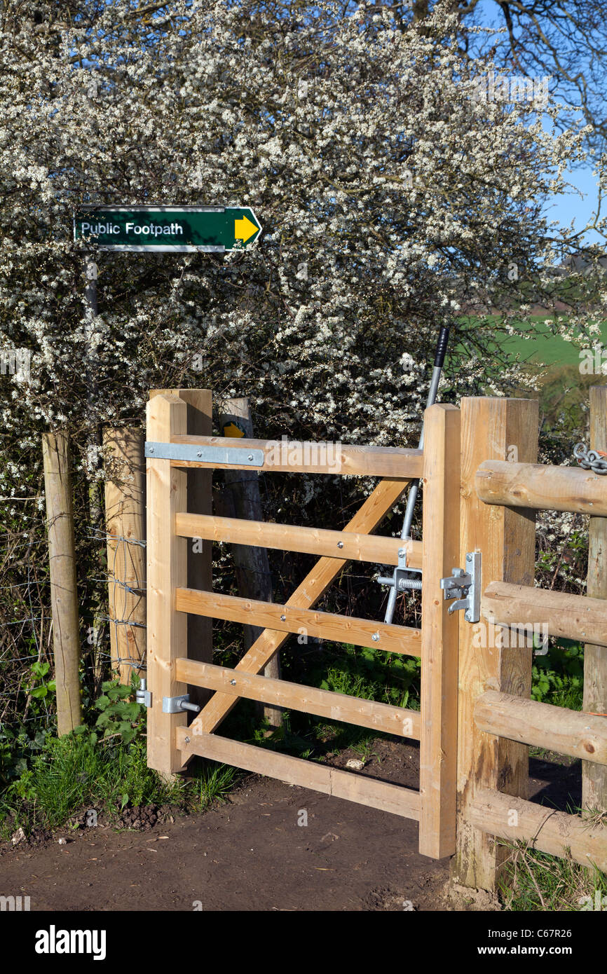 Sentiero pubblico bridleway nuovi in legno di rovere percorso gate recinto via primavera sbocciano i fiori freschi IOW Foto Stock