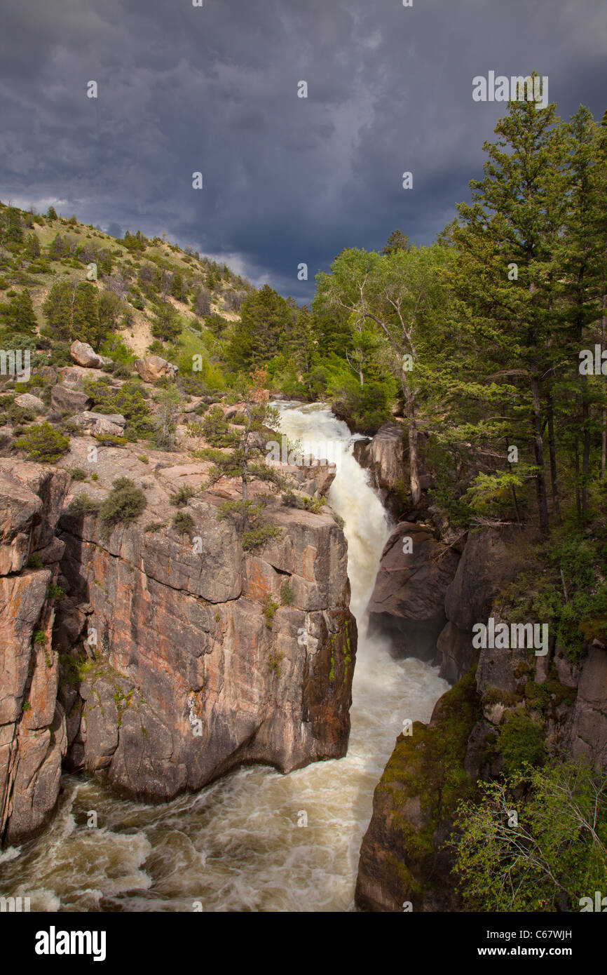 Guscio cade, Shell Falls National Recreation Trail, Bighorn Scenic Byway, Bighorn National Forest, Wyoming Foto Stock