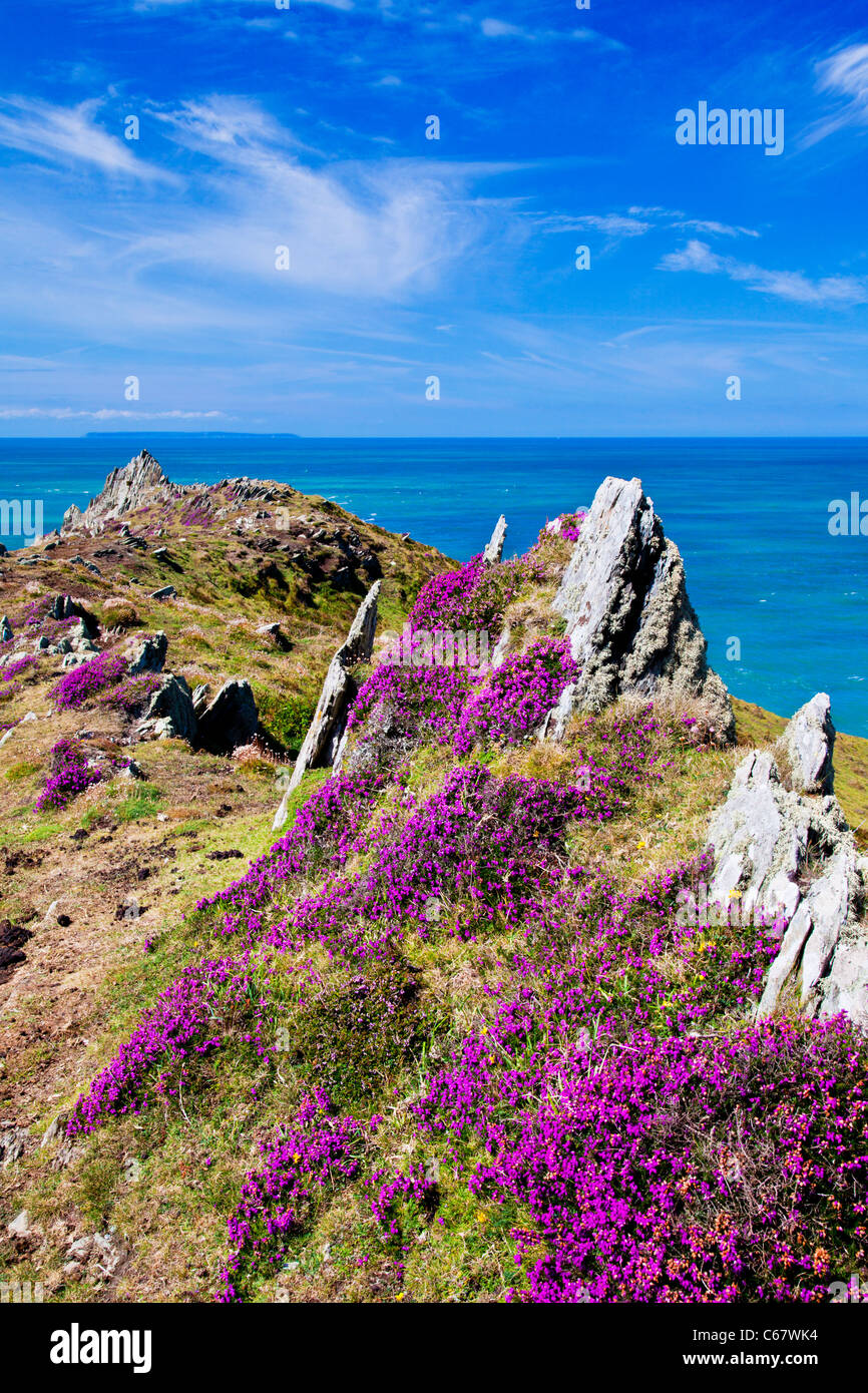 Morte Punto vicino Morthoe, Woolacombe con vista sul Canale di Bristol e Lundy Island, North Devon, Inghilterra, Regno Unito Foto Stock