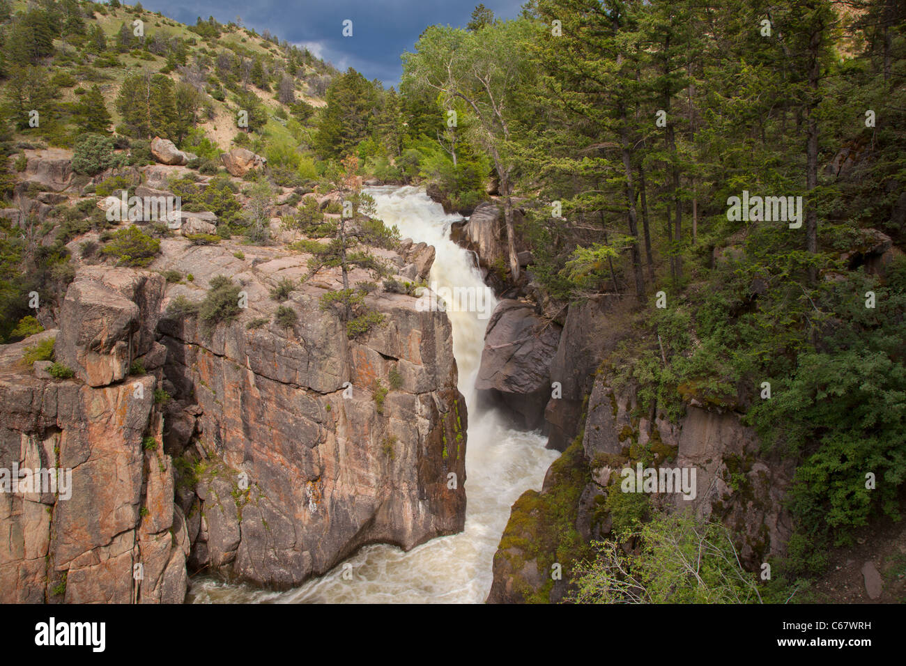 Guscio cade, Shell Falls National Recreation Trail, Bighorn Scenic Byway, Bighorn National Forest, Wyoming Foto Stock