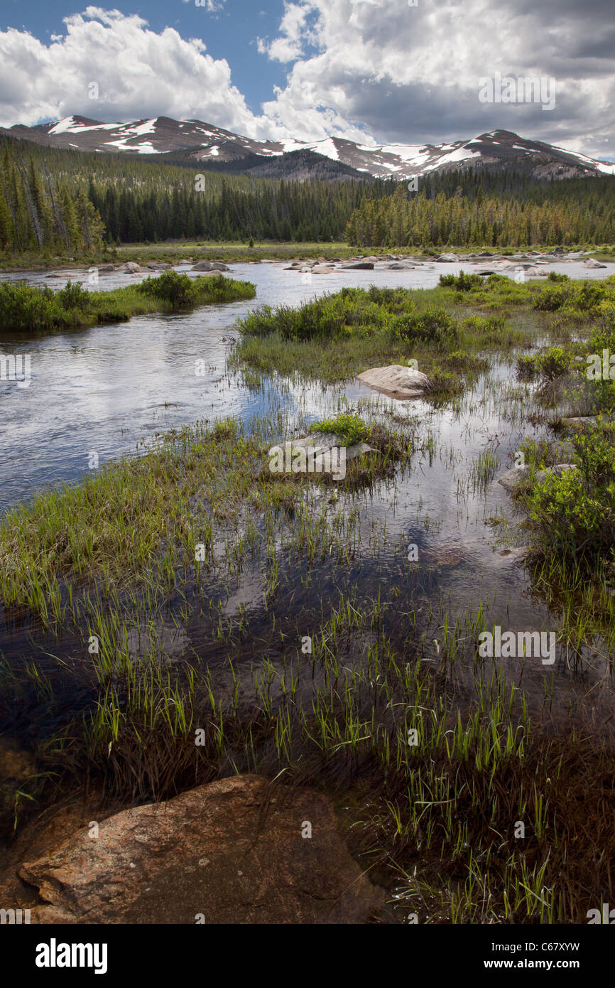 Il suo lago sotto Bighorn picco, Cloud Peak Wilderness, Bighorn National Forest, Wyoming Foto Stock