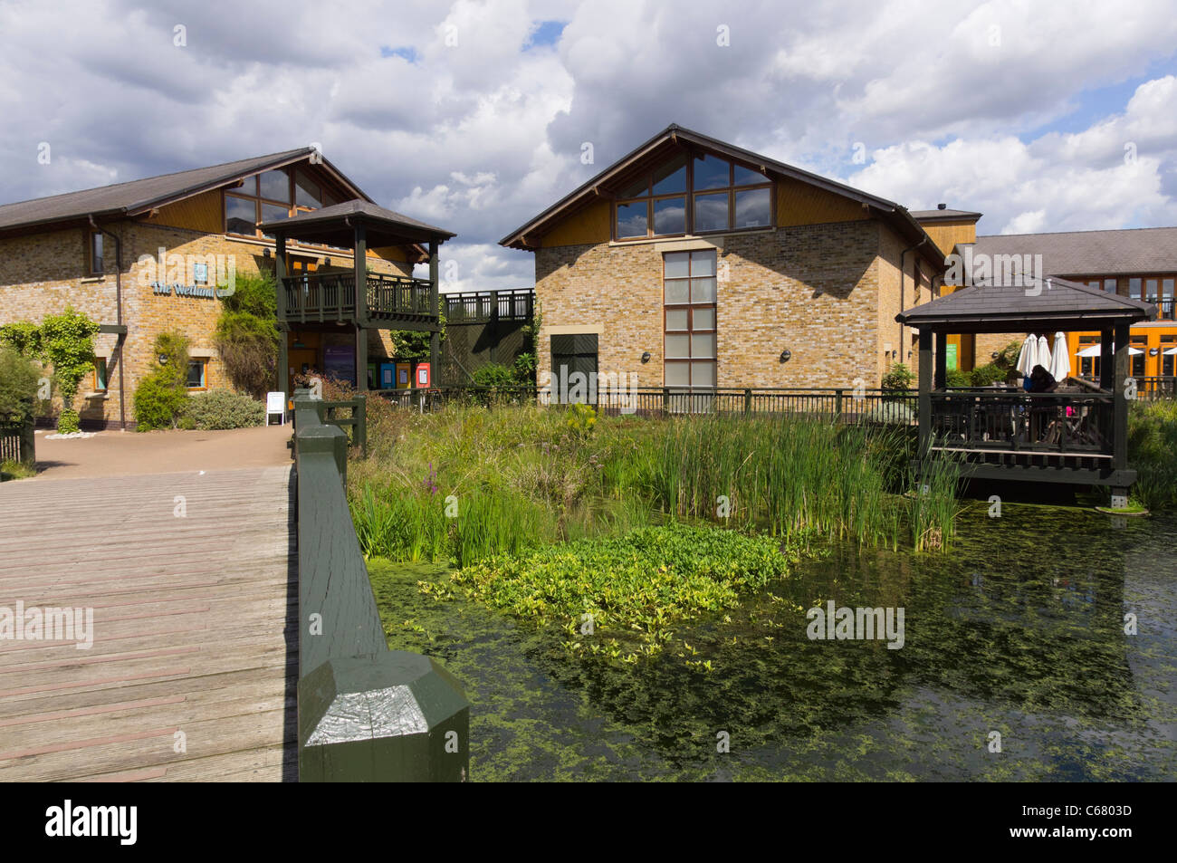 London Wetland Centre, Barnes - WWT sito. Gli edifici principali e il centro. Foto Stock