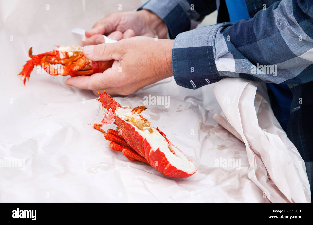 Un uomo fuori di movimentazione la carne di un cucinato al momento aragoste, gamberi di fiume. Pranzo a Picnic a Kaikoura, South Island, in Nuova Zelanda. Foto Stock