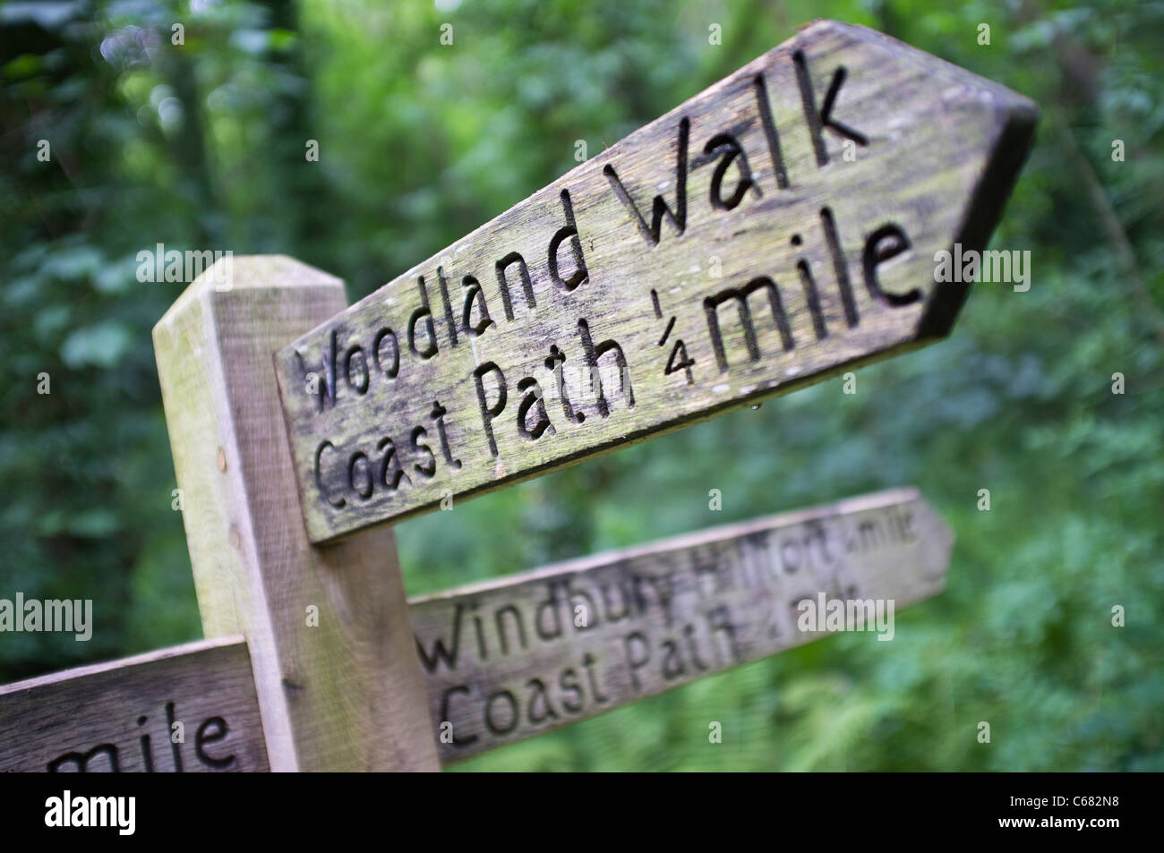Bosco a piedi costale segno di percorso Foto Stock