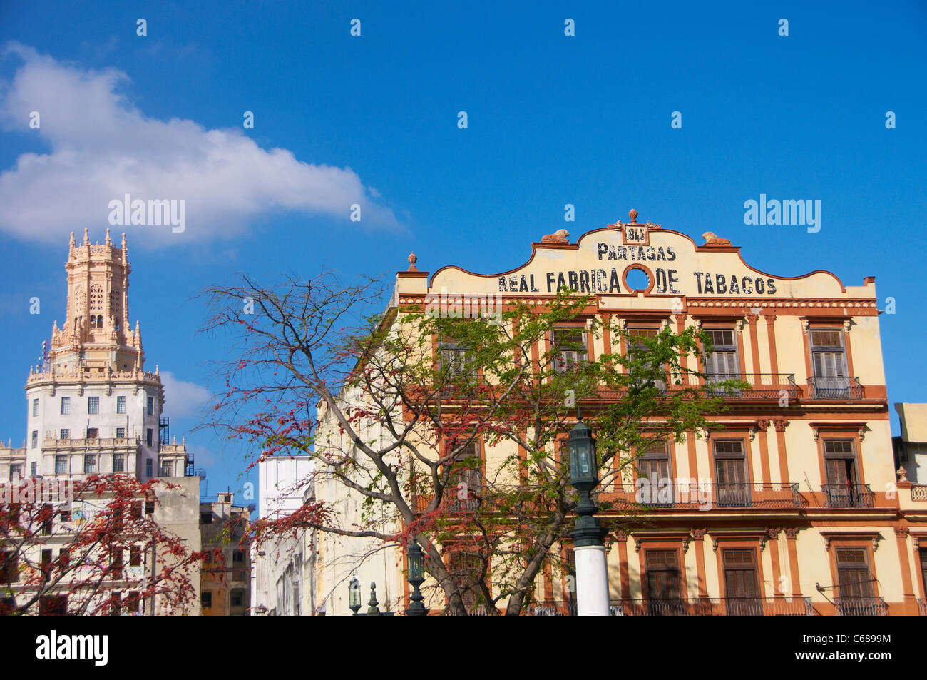 Il Partagas fabbrica di sigari nel centro di Avana Cuba Foto Stock