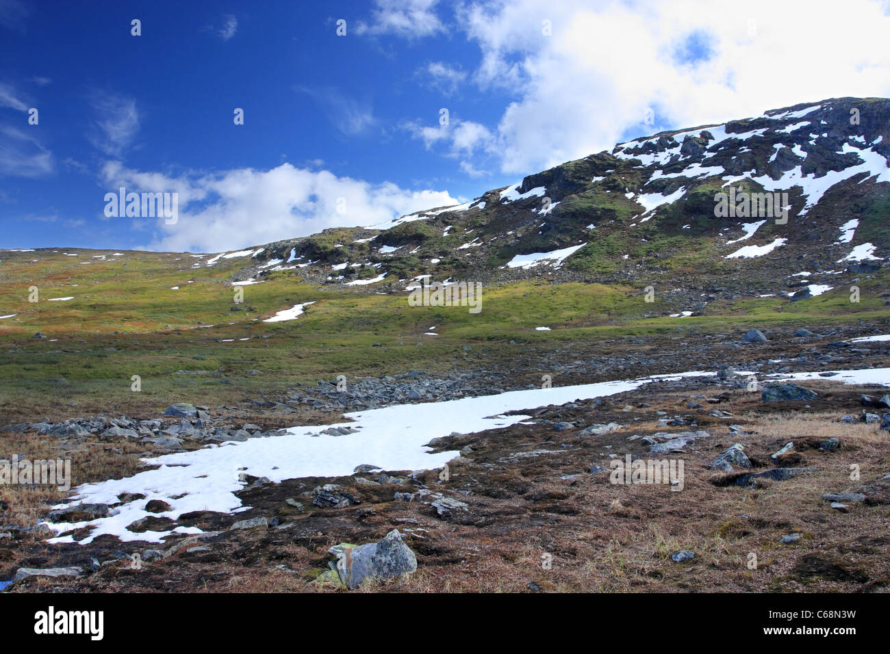 Paesaggio vicino Padjelanta National Park, Svezia Foto Stock