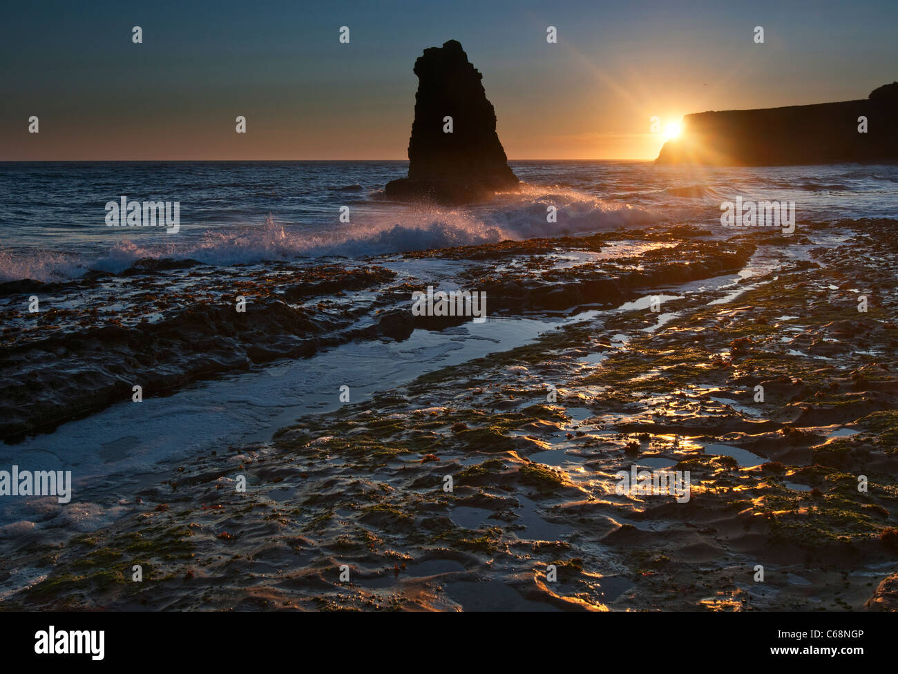 Drammatica vista di una pila di mare nella spiaggia di Davenport, Santa Cruz. Foto Stock