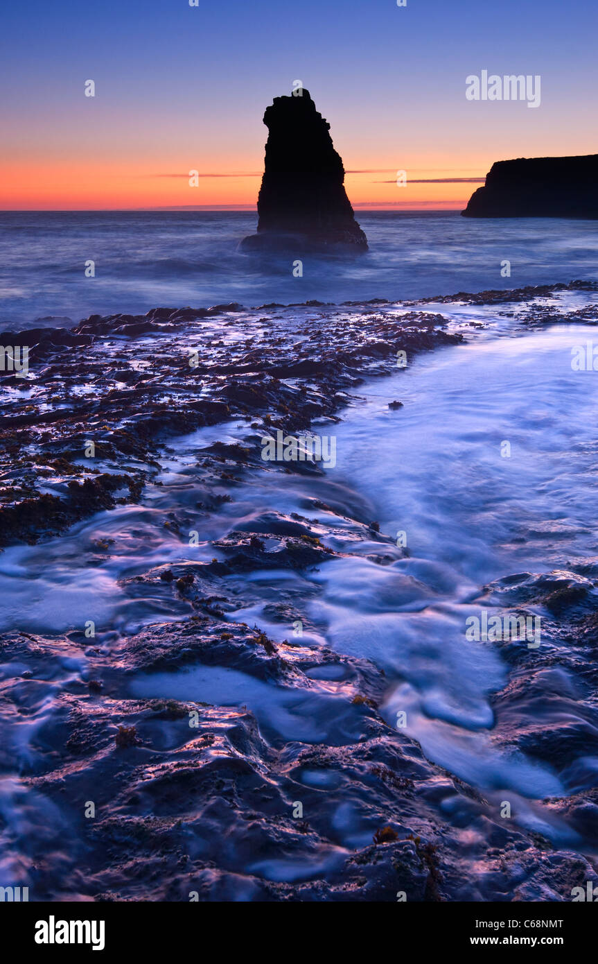 Drammatica vista di una pila di mare nella spiaggia di Davenport, Santa Cruz. Foto Stock