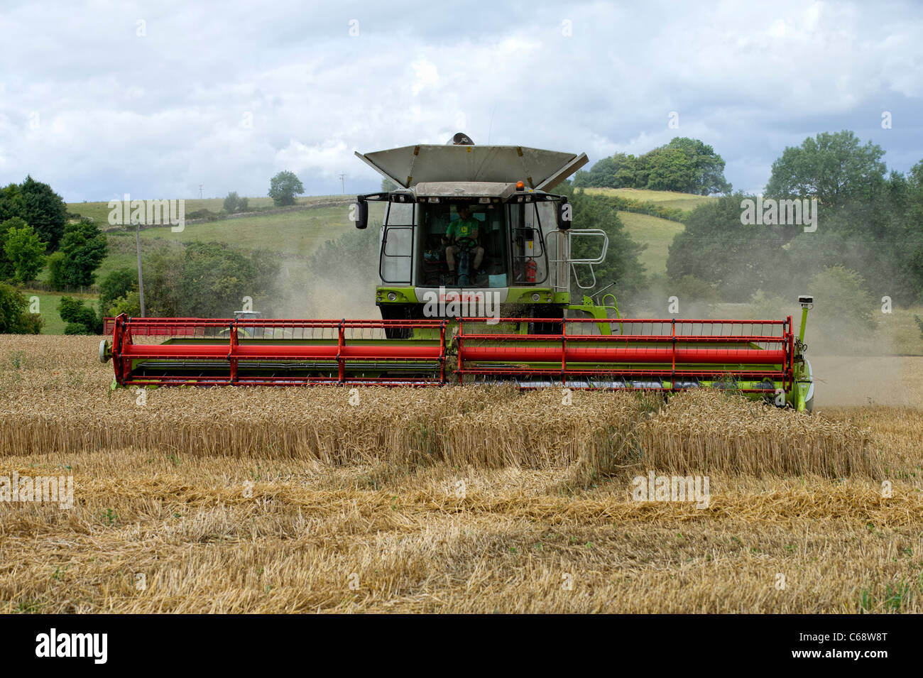 Mietitrebbia in opera in un campo di grano Foto Stock