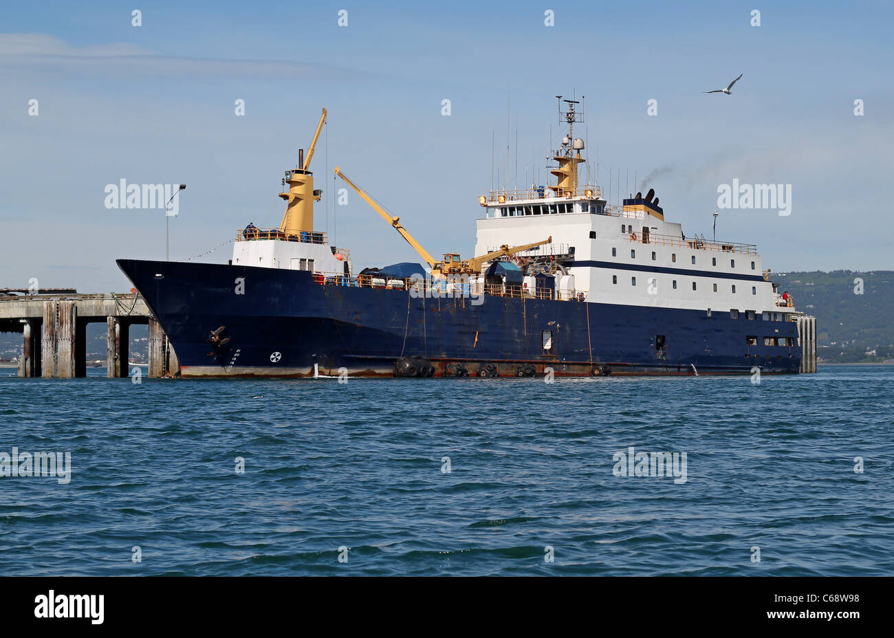La lavorazione del pesce in barca nelle acque profonde dock in Omero, Alaska su una soleggiata giornata estiva Foto Stock
