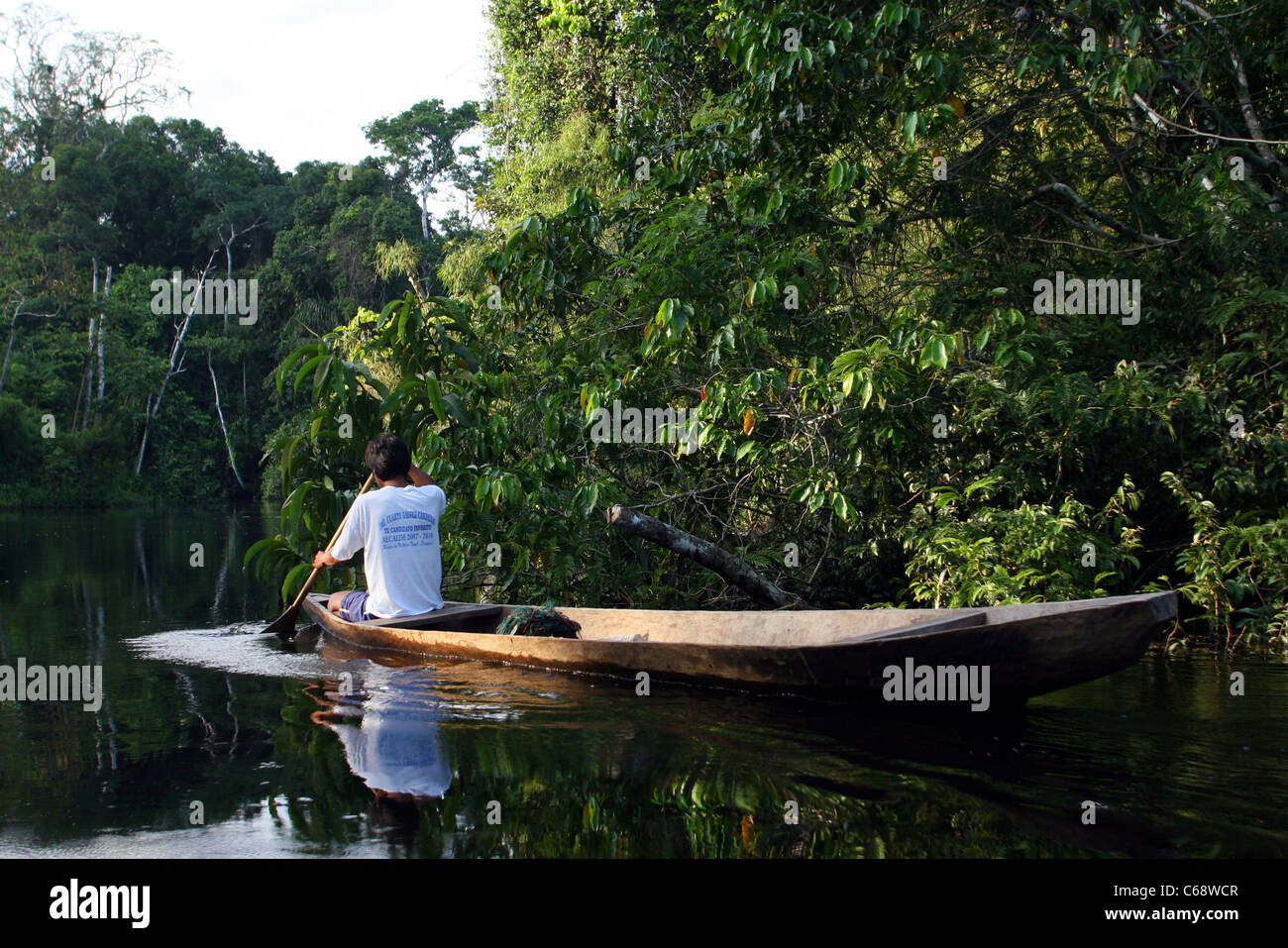Jungle pescatore a monte delle piastre sul Rio Samiria nella foresta amazzonica, Loreto, Perù, Sud America Foto Stock