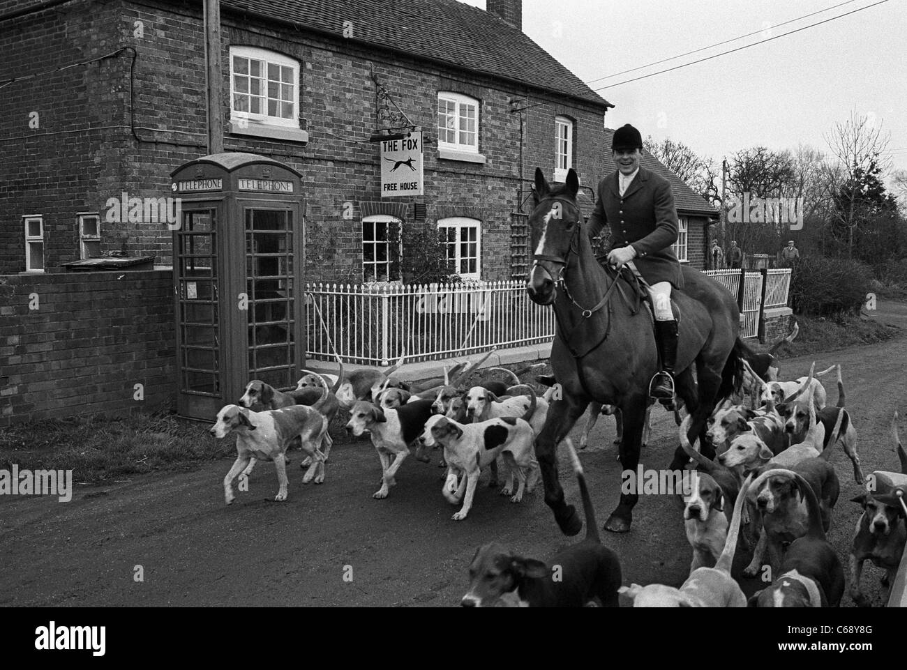 Huntsman, Horse e Hounds si preparano per una caccia alla volpe fuori dal Fox Inn, Marston, Staffordshire, Inghilterra. Immagine vintage in bianco e nero Foto Stock