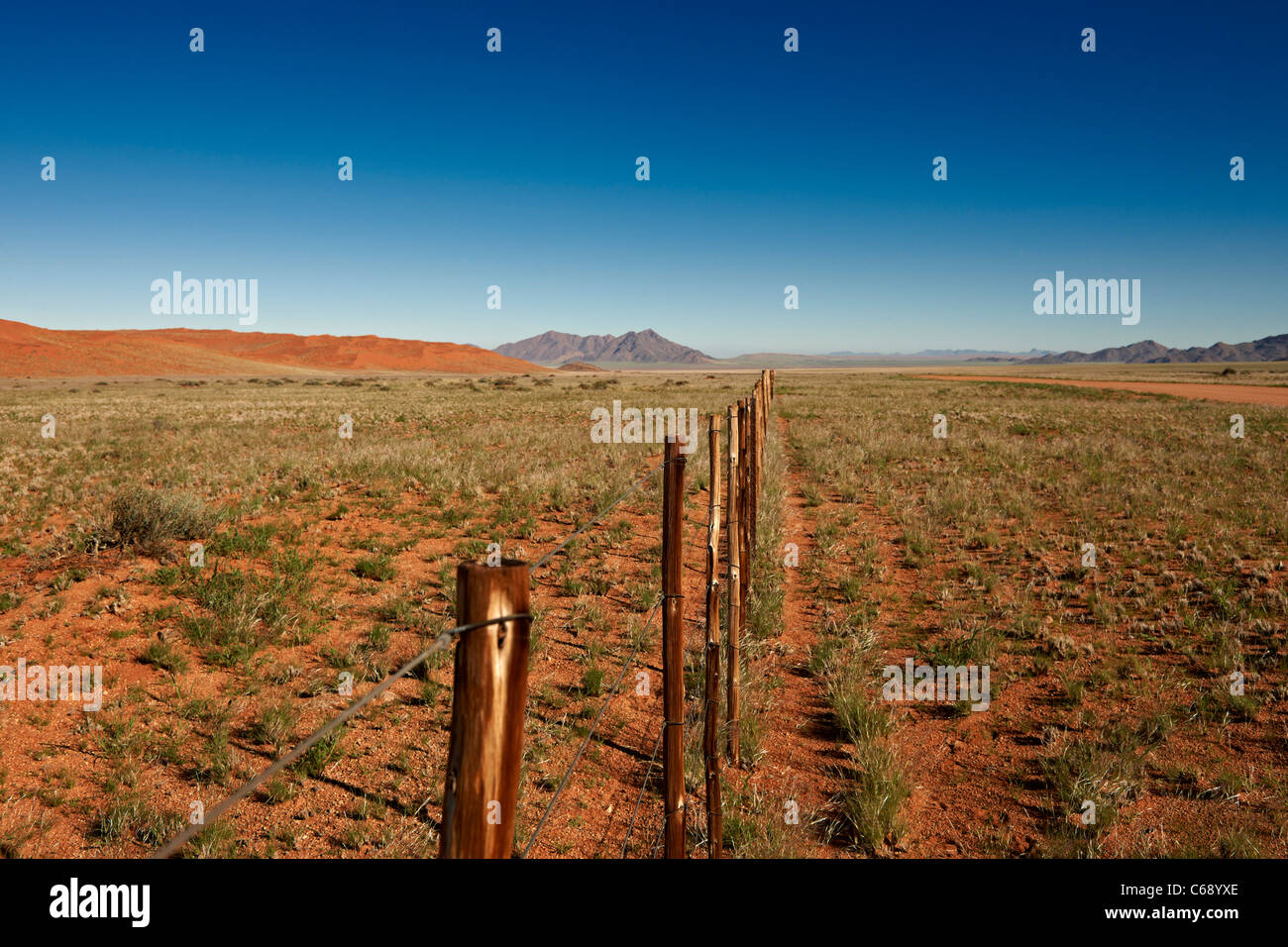 Infinite recinto nel paesaggio del deserto, strada secondaria D 707, Namibia, Africa Foto Stock