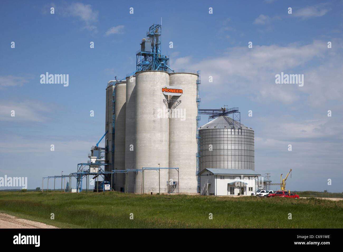 Cemento moderni silos per il grano in dundonald Manitoba Canada Foto Stock